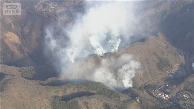 メイン記事画像