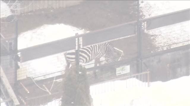 メイン記事画像