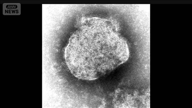 メイン記事画像