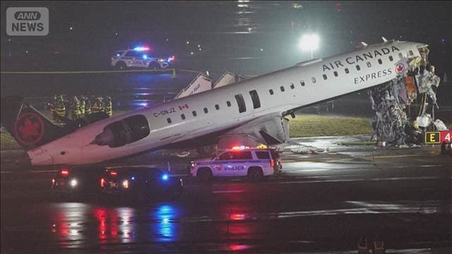 メイン記事画像