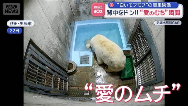 メイン記事画像