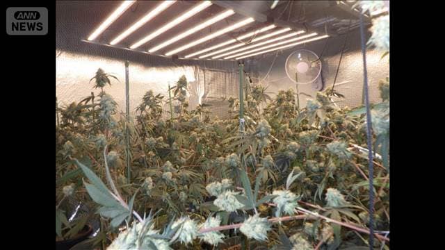 メイン記事画像