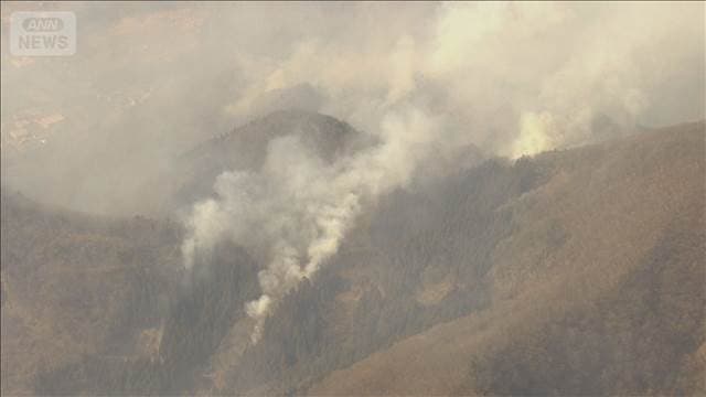 メイン記事画像