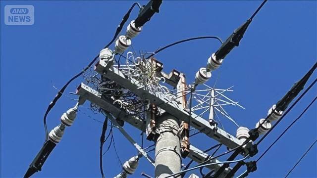 メイン記事画像