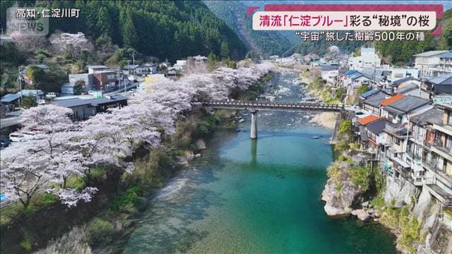 メイン記事画像