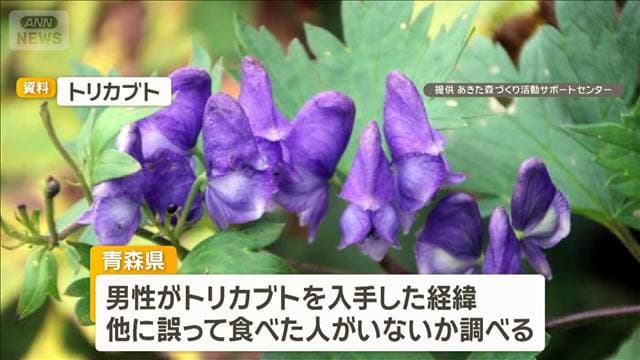 メイン記事画像