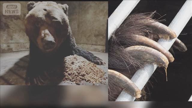 メイン記事画像