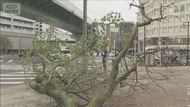 メイン記事画像