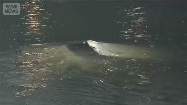 メイン記事画像