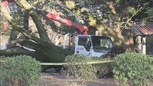 メイン記事画像