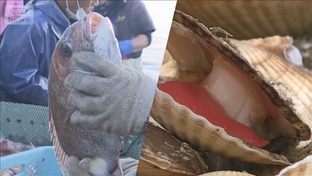 メイン記事画像