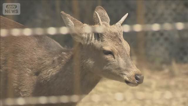 メイン記事画像