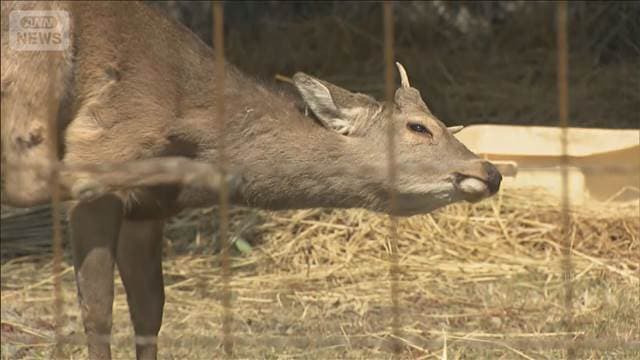 メイン記事画像