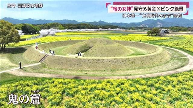 メイン記事画像