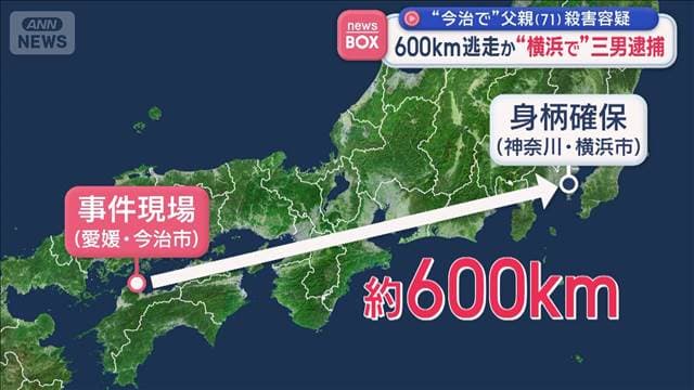 メイン記事画像