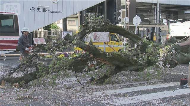 メイン記事画像