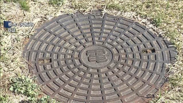 メイン記事画像