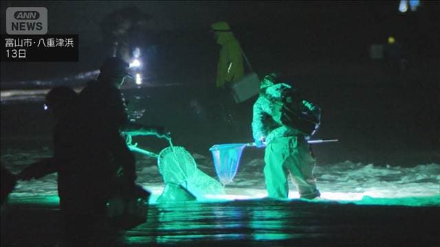 メイン記事画像