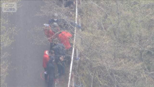 メイン記事画像