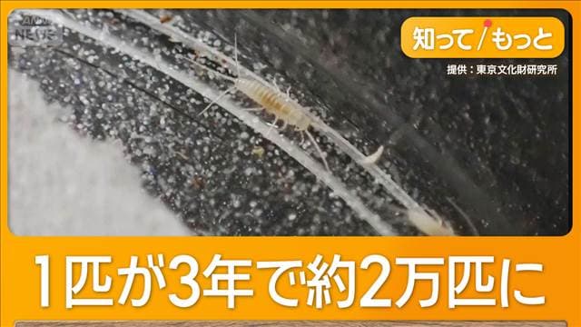 メイン記事画像