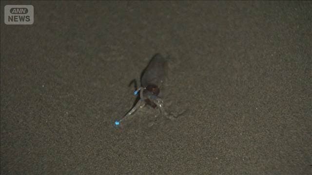 メイン記事画像