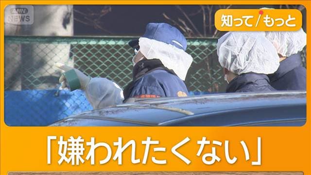 メイン記事画像