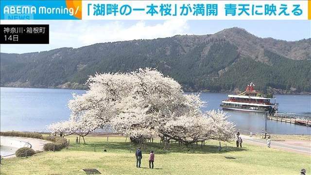 メイン記事画像