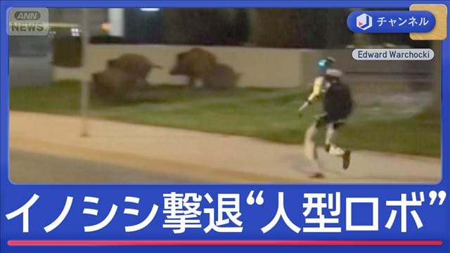 メイン記事画像