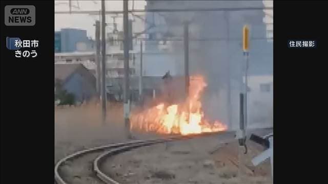 メイン記事画像