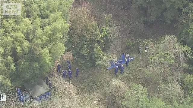 メイン記事画像