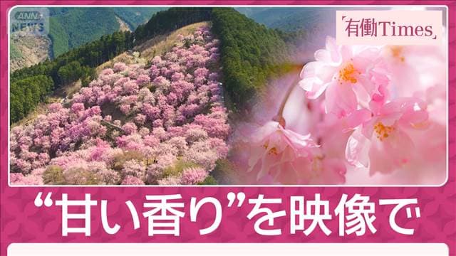 メイン記事画像