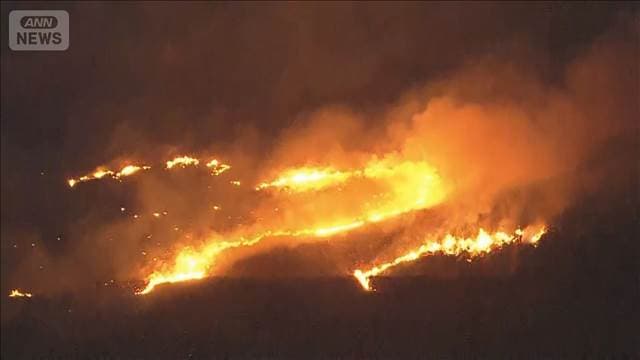 メイン記事画像