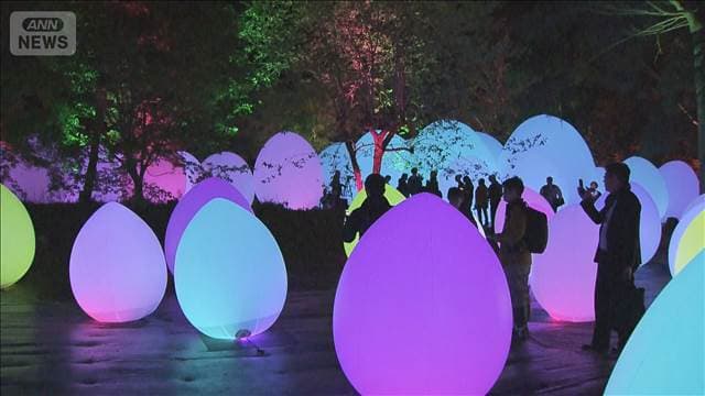 メイン記事画像