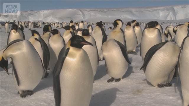 メイン記事画像