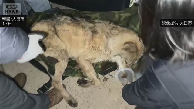 メイン記事画像