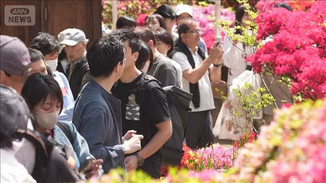 メイン記事画像