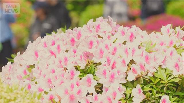 メイン記事画像