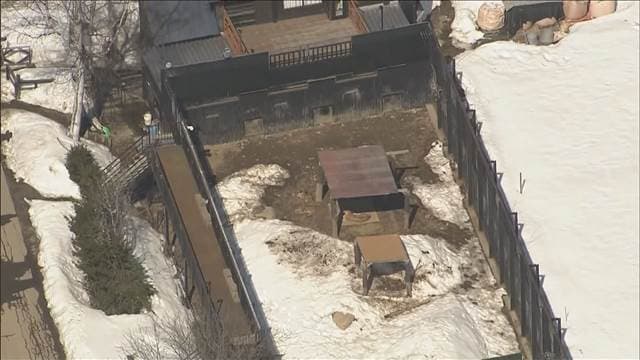 メイン記事画像