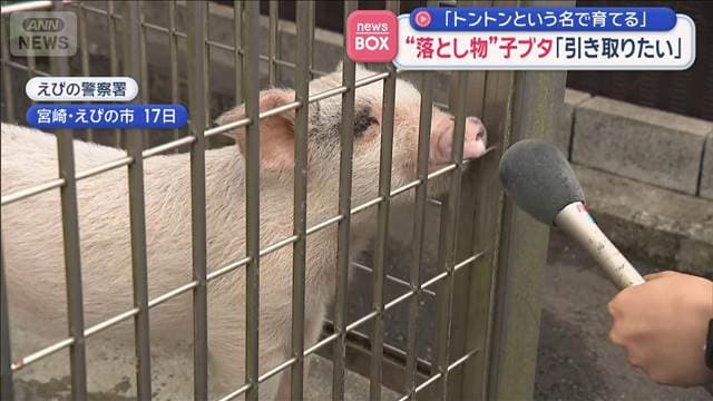 メイン記事画像