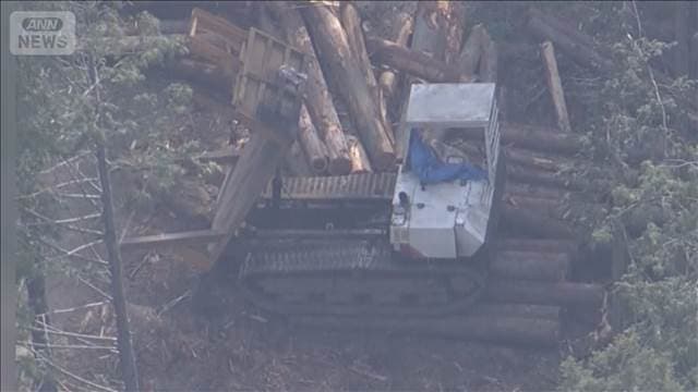 メイン記事画像