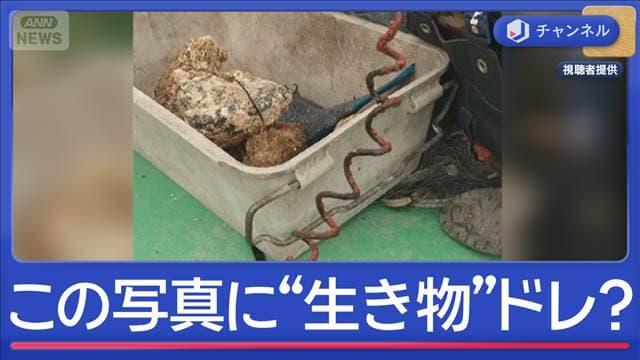 メイン記事画像