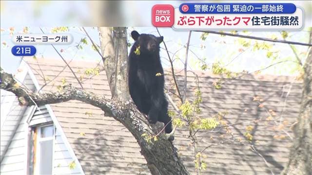 メイン記事画像