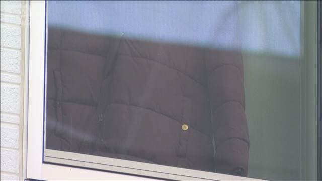 メイン記事画像