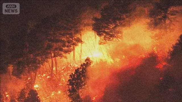 メイン記事画像