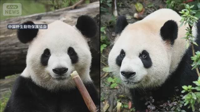 メイン記事画像