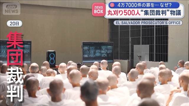 メイン記事画像