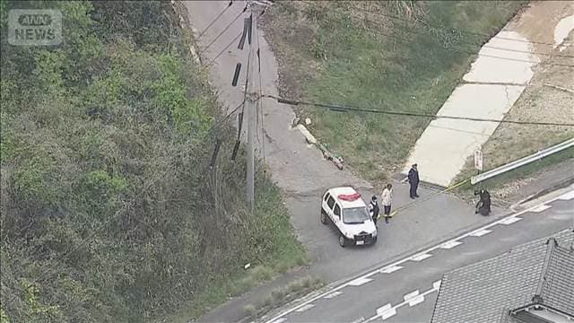 メイン記事画像