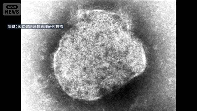 メイン記事画像