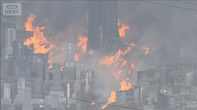 メイン記事画像