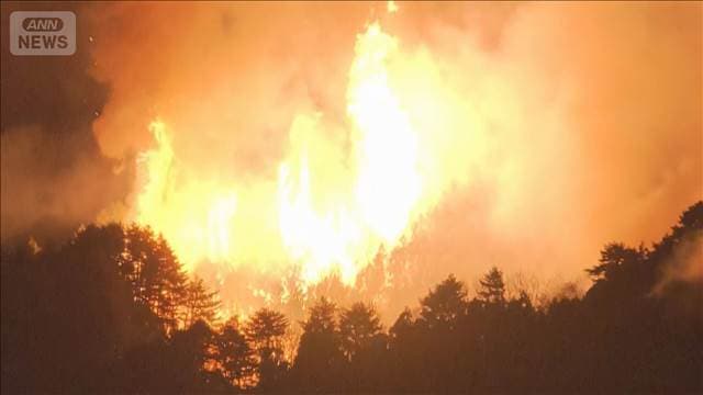 メイン記事画像